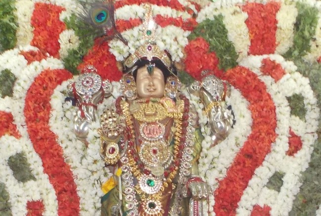 Amaruviyappan Vidayatri Utsavam Pushpa Pallakku-1