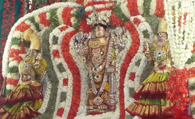 Amaruviyappan Vidayatri Utsavam Pushpa Pallakku-2