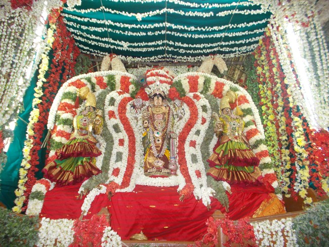 Amaruviyappan Vidayatri Utsavam Pushpa Pallakku-3