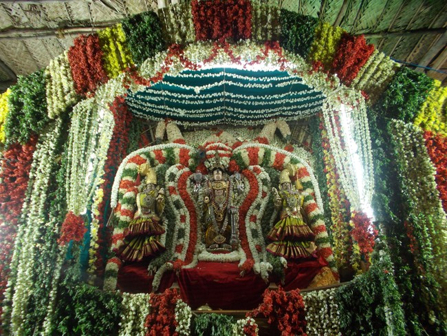 Amaruviyappan Vidayatri Utsavam Pushpa Pallakku-5