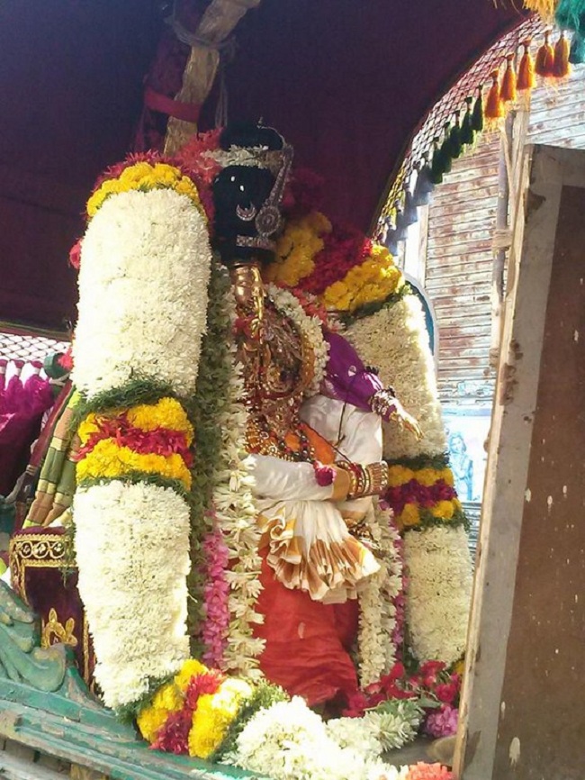 Aminjikarai Sri Prasanna Varadharaja Perumal  Brahmothsavam12