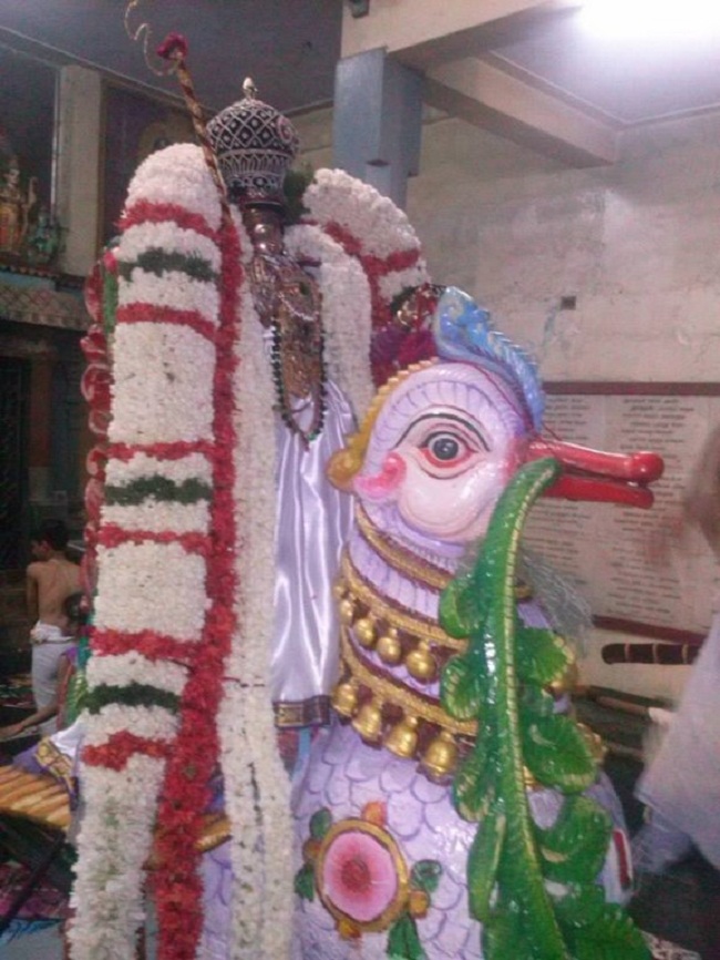 Aminjikarai Sri Prasanna Varadharaja Perumal  Brahmothsavam31
