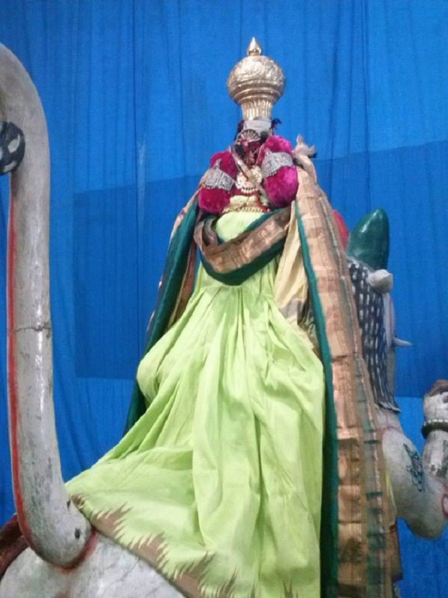 Aminjikarai Sri Prasanna Varadharaja Perumal  Brahmothsavam32