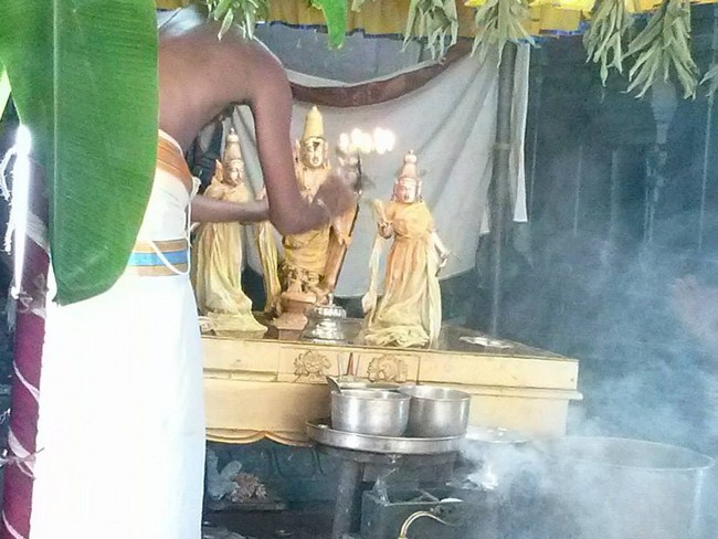 Aminjikarai Sri Prasanna Varadharaja Perumal  Brahmothsavam36