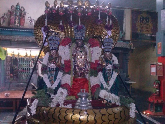 Aminjikarai Sri Prasanna Varadharaja Perumal  Brahmothsavam45