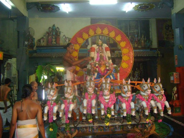Aminjikarai Sri Prasanna Varadharaja Perumal Brahmotsavam day 2  Surya Prabhai  2014 -8