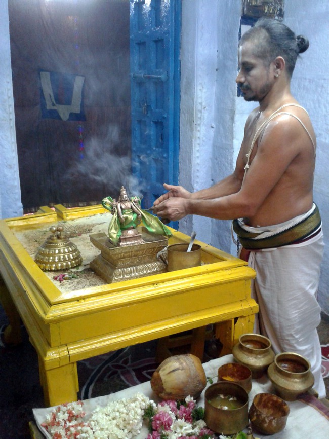 Ammavasai Thirumanjanam at Thiruvelukkai 2014--01