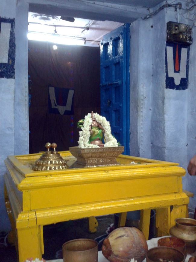 Ammavasai Thirumanjanam at Thiruvelukkai 2014--02