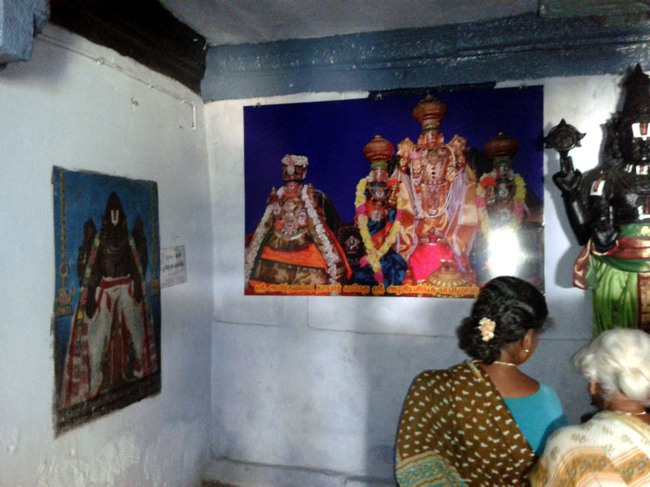 Ammavasai Thirumanjanam at Thiruvelukkai 2014--11