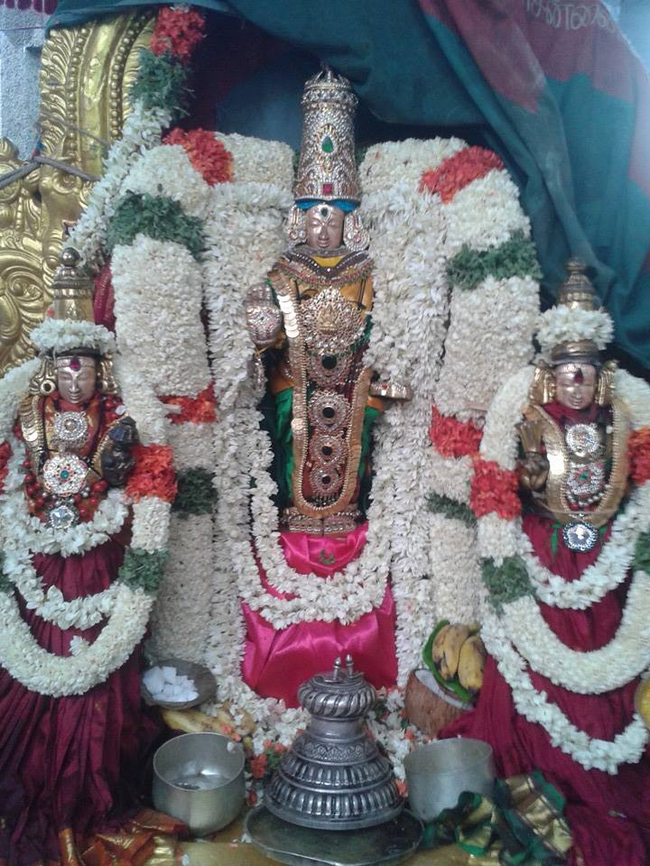 Kadalmallai Chitra Brahmotsavam1