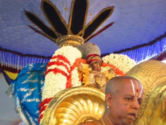Kanchi Varadar Vaikasi Brahmotsavam Yanai Vahanami  2014 -06