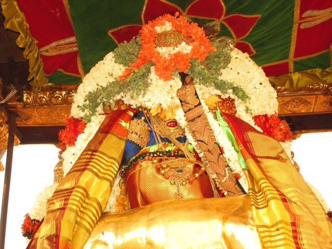 Kanchi Varadhan Thanga Chapparam Venugopalan Thirukolam 2014--19