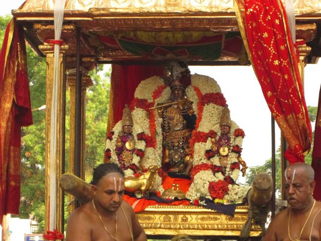 Kanchi Varadhan Thanga Chapparam Venugopalan Thirukolam 2014--61