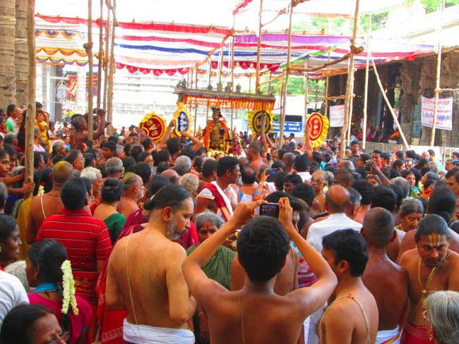 Kanchi Varadhan Vaikasi Brahmotsavam Venugopalan Thirukolam 2014--04