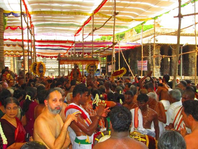 Kanchi Varadhan Vaikasi Brahmotsavam Venugopalan Thirukolam 2014--06