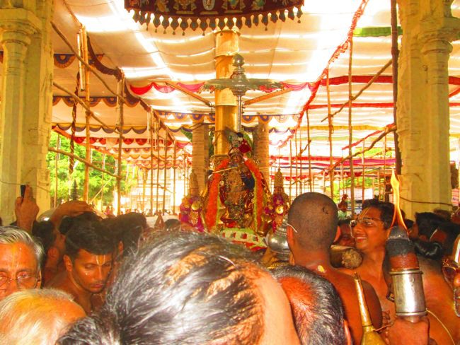 Kanchi Varadhan Vaikasi Brahmotsavam Venugopalan Thirukolam 2014--10