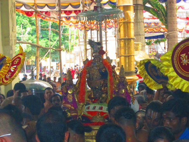 Kanchi Varadhan Vaikasi Brahmotsavam Venugopalan Thirukolam 2014--11