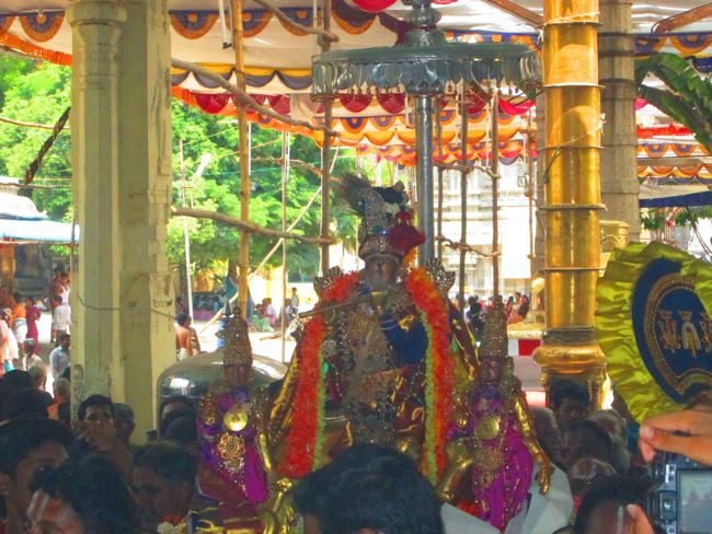 Kanchi Varadhan Vaikasi Brahmotsavam Venugopalan Thirukolam 2014--12