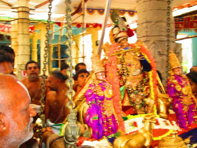 Kanchi Varadhan Vaikasi Brahmotsavam Venugopalan Thirukolam 2014--21