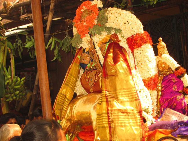 Kanchi Varadhan Vaikasi Brahmotsavam Venugopalan Thirukolam 2014--37
