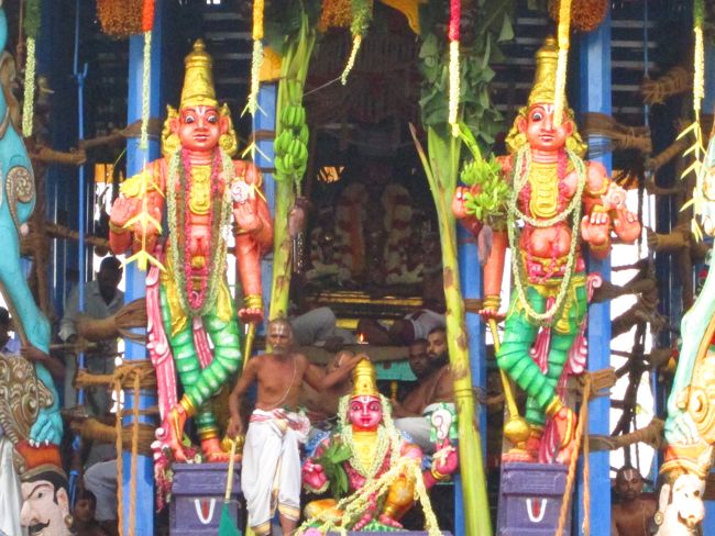 Kanchi Varadharaja Perumal Temple Vaikasi Brahmotsavam Thiruther 2014 -07
