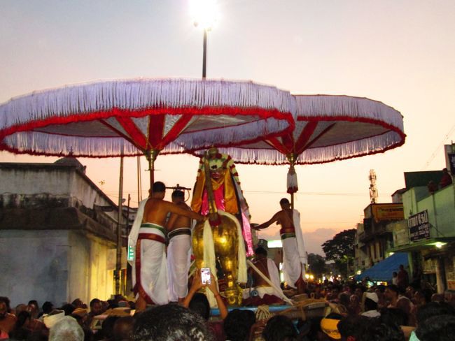 Kanchi varadharaja Perumal Temple Vaikasi Brahmotsavam Yali vahanam  2014--08