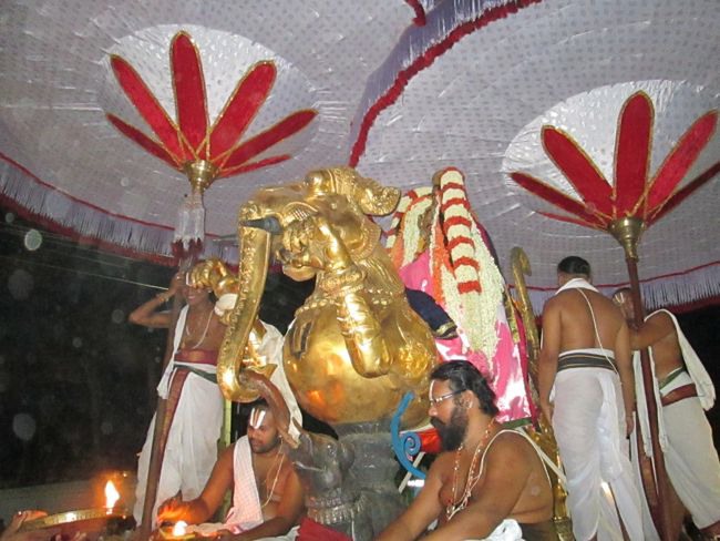 Kanchi varadharaja Perumal Temple Vaikasi Brahmotsavam Yali vahanam  2014--14