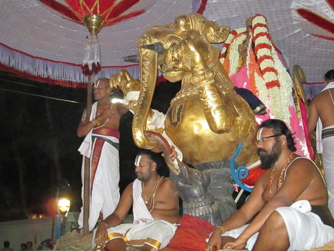 Kanchi varadharaja Perumal Temple Vaikasi Brahmotsavam Yali vahanam  2014--15