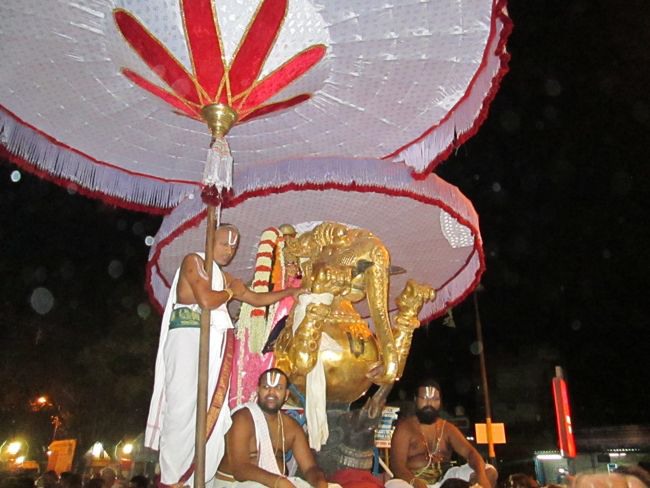 Kanchi varadharaja Perumal Temple Vaikasi Brahmotsavam Yali vahanam  2014--27