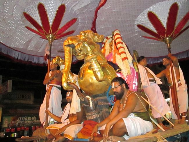 Kanchi varadharaja Perumal Temple Vaikasi Brahmotsavam Yali vahanam  2014--30