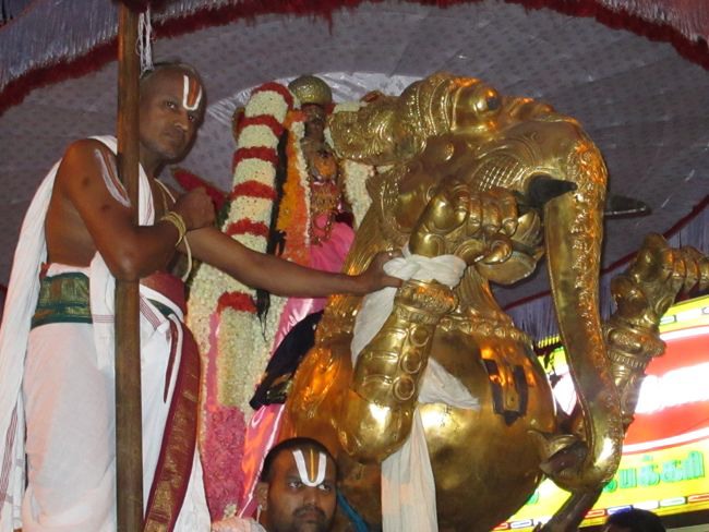 Kanchi varadharaja Perumal Temple Vaikasi Brahmotsavam Yali vahanam  2014--34