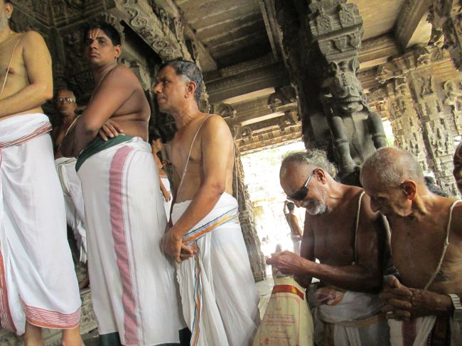 Kanchi varadharaja Perumal Vaikasi Brahmotsavam Mattayadi Utsavam  2014 -21