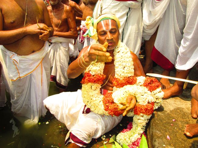 Kanchi varadharaja Perumal Vaikasi Brahmotsavam Theerthavari  2014 -20