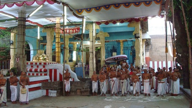 Kanchipuram Sri Devarajaswami Kovil Vaikasi Brahmotsavam- Sri Azhwar THirunal 2014 -08