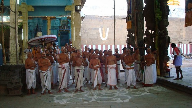 Kanchipuram Sri Devarajaswami Kovil Vaikasi Brahmotsavam- Sri Azhwar THirunal 2014 -09