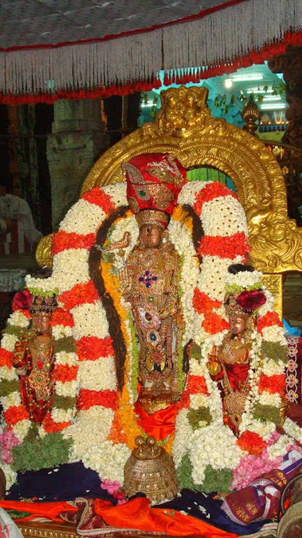 Kanchipuram Swami Ramanujar Jayanthi utsavam 2014 -35