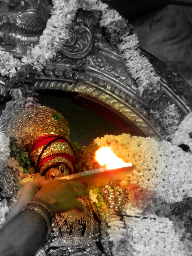 Kanchipuram Varadharaja Perumal Garuda Sevai 14-05-2014    03