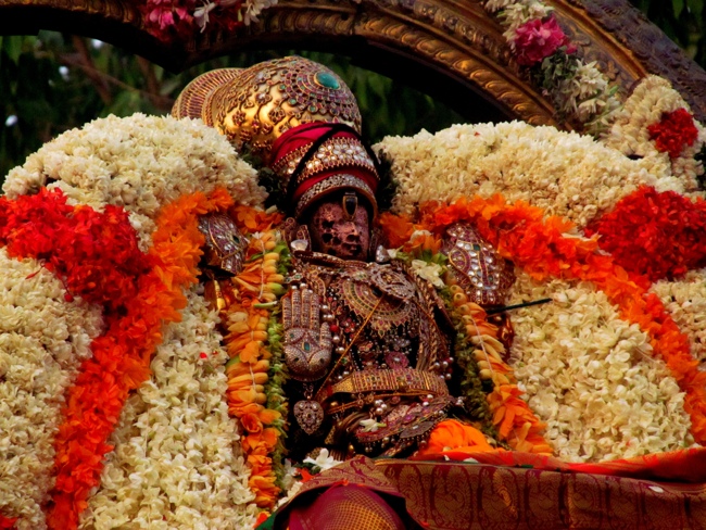 Kanchipuram Varadharaja Perumal Garuda Sevai 14-05-2014    41