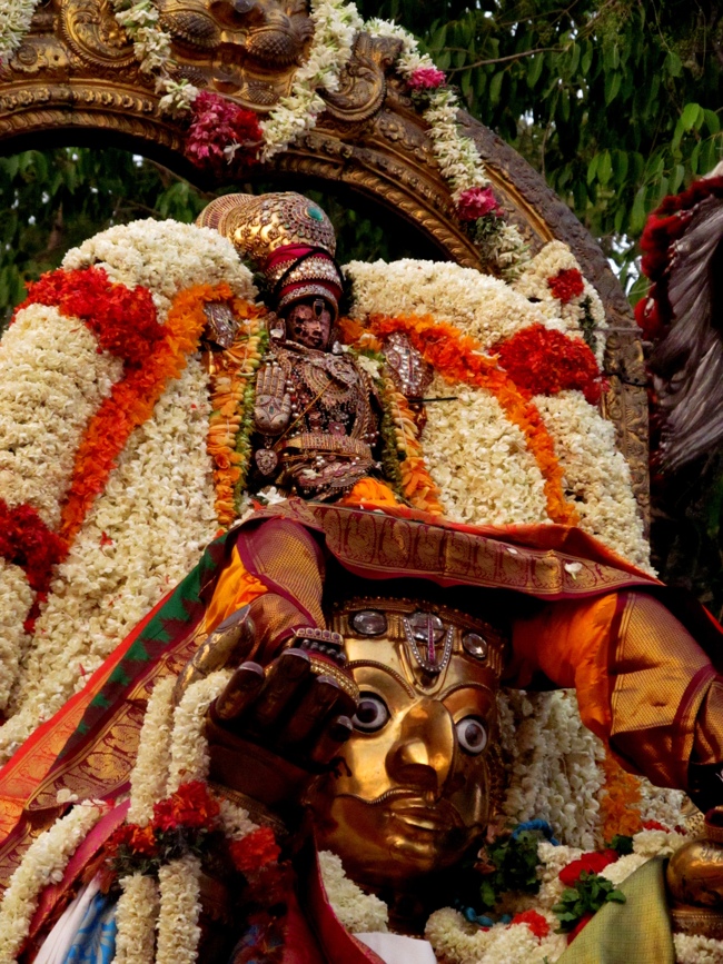 Kanchipuram Varadharaja Perumal Garuda Sevai 14-05-2014    42