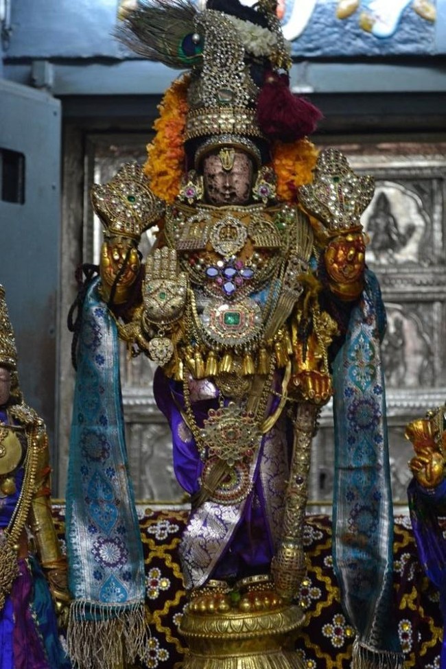 Kanchipuram Varadharaja Perumal Kovil vaikasi Brahmotsavam Thotti Thirumanjanam  2014 -02