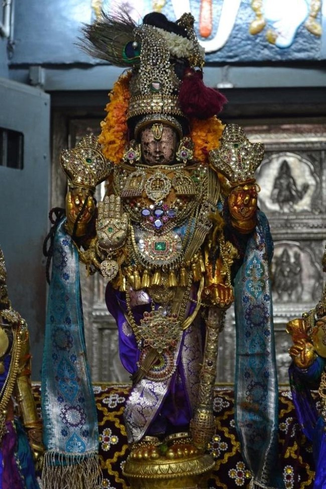 Kanchipuram Varadharaja Perumal Kovil vaikasi Brahmotsavam Thotti Thirumanjanam  2014 -03
