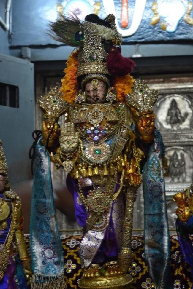Kanchipuram Varadharaja Perumal Kovil vaikasi Brahmotsavam Thotti Thirumanjanam  2014 -04