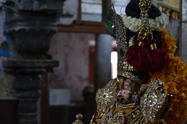 Kanchipuram Varadharaja Perumal Kovil vaikasi Brahmotsavam Thotti Thirumanjanam  2014 -05