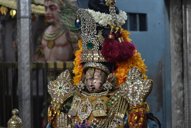 Kanchipuram Varadharaja Perumal Kovil vaikasi Brahmotsavam Thotti Thirumanjanam  2014 -06