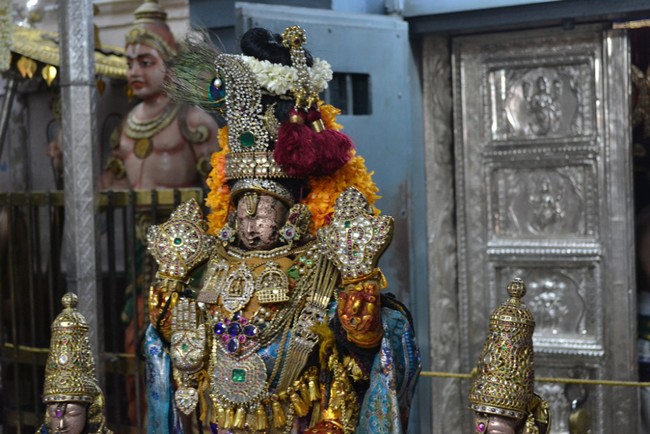 Kanchipuram Varadharaja Perumal Kovil vaikasi Brahmotsavam Thotti Thirumanjanam  2014 -07