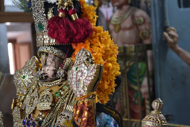 Kanchipuram Varadharaja Perumal Kovil vaikasi Brahmotsavam Thotti Thirumanjanam  2014 -10