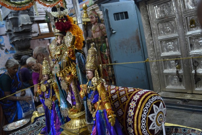 Kanchipuram Varadharaja Perumal Kovil vaikasi Brahmotsavam Thotti Thirumanjanam  2014 -11