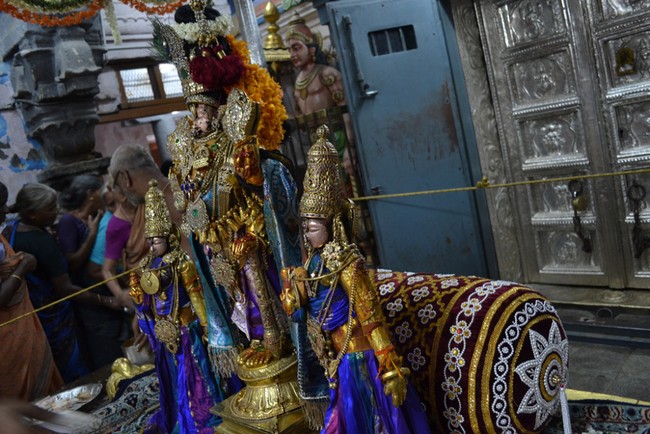 Kanchipuram Varadharaja Perumal Kovil vaikasi Brahmotsavam Thotti Thirumanjanam  2014 -12