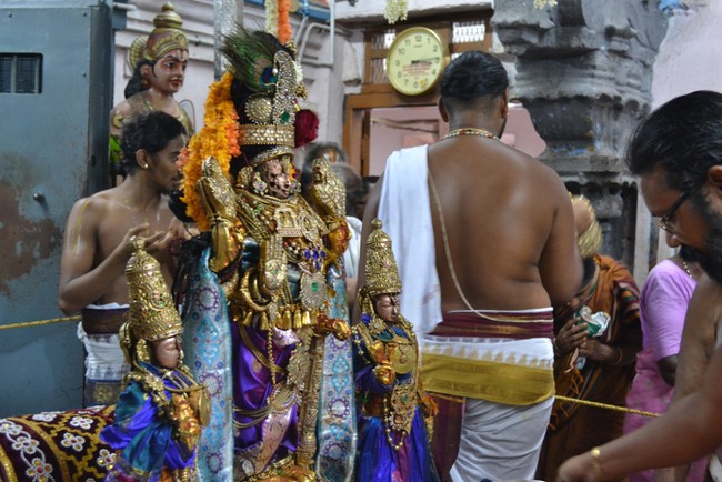 Kanchipuram Varadharaja Perumal Kovil vaikasi Brahmotsavam Thotti Thirumanjanam  2014 -13