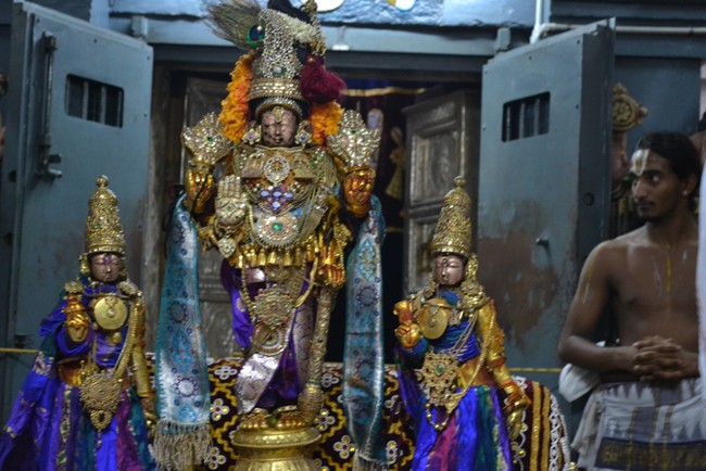 Kanchipuram Varadharaja Perumal Kovil vaikasi Brahmotsavam Thotti Thirumanjanam  2014 -14